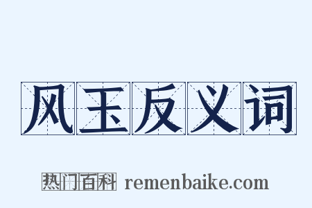 风玉反义词是什么意思的图片